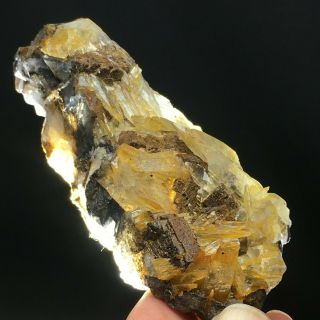 137.  5Natural Yellow Dog Tooth Wheels Calcite Crystal Cluster Mineral Specimen 4