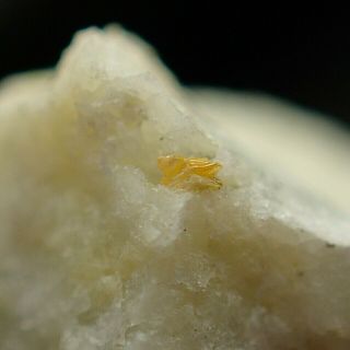 Tellurite Yellow Crystal On Quartz Rare Kawazu Mine,  Japan