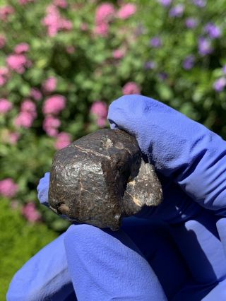 Meteorite Nwa,  Unclassified 22.  27 Grams,  Shape