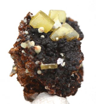 Wulfenite Crystal Cluster Mineral Specimen Ojuela Mine Mapimi Mexico