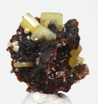 WULFENITE Crystal Cluster Mineral Specimen OJUELA MINE Mapimi MEXICO 2