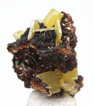 WULFENITE Crystal Cluster Mineral Specimen OJUELA MINE Mapimi MEXICO 4