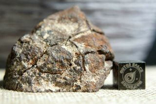 NWA Unclassified Meteorite 71 grams windowed with very little visible metal 2