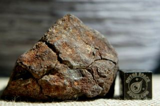NWA Unclassified Meteorite 71 grams windowed with very little visible metal 3