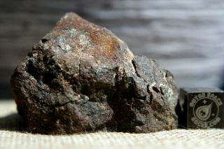 NWA Unclassified Meteorite 71 grams windowed with very little visible metal 4