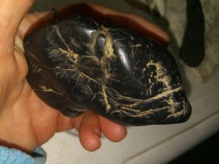 Rare Paleo Picture Rock Effigy NATIVE AMERICAN ARTIFACTS Hard Stone Tool 2
