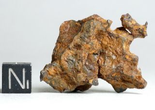 Meteorite Sericho - Sculpted Individual 19.  3g Pallasite Kenya