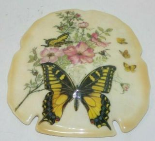 Real Sand Dollar Painted Butterflies And Flowers Wall Hanging 4 3/4 " X 5 "