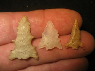 3 Authentic West Texas Bird Point Arrowheads,  Prehistoric Indian Artifacts,  Wt5