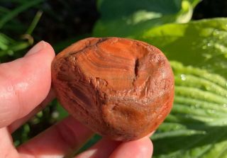 Lake Superior Agate 4.  1 Ounce Orange With Dark Bands Solid