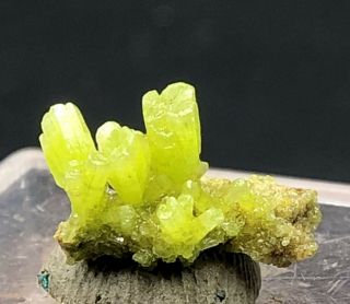 5ct Natural Lovely Green Pyromorphite Crystal Mineral Specimen