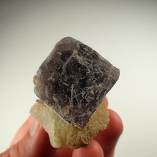 Fluorite Purple Crystal On Quartz Kozli,  Czech Republic