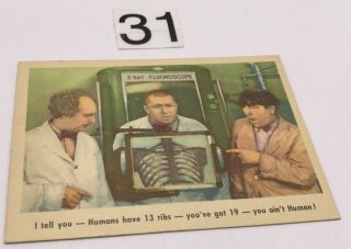 1959 Fleer Three 3 Stooges Card 14 Humans Have 13 Ribs You 