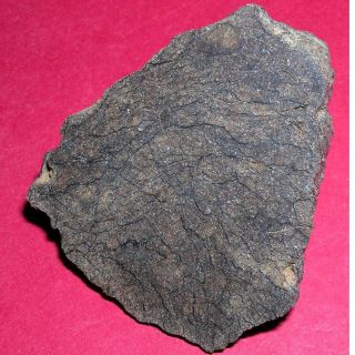 Al Haggounia 001 Meteorite: 46.  5 Gram Polished End Cut