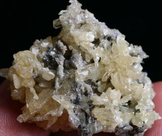 26g Rare Natural Cerussite Crystal Minerals Specimens Guang Xi China