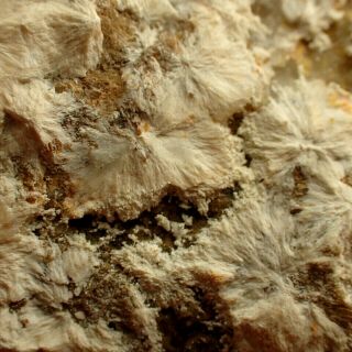 Alumohydrocalcite Pseudomorph After Dawsonite Rare Ladomirov,  Slovakia