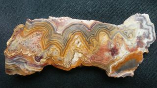 Mexican Crazy Lace Agate,  Slab,  Cabochon,  Jewelry,  Lapidary,  Rocks,  Gems,  Ring