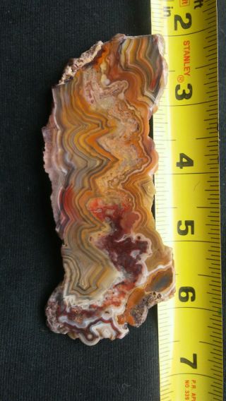 Mexican crazy lace agate,  slab,  cabochon,  jewelry,  lapidary,  rocks,  gems,  ring 3