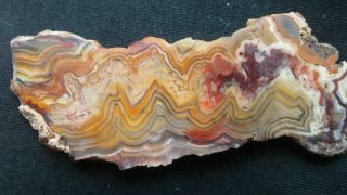 Mexican crazy lace agate,  slab,  cabochon,  jewelry,  lapidary,  rocks,  gems,  ring 4