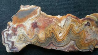 Mexican crazy lace agate,  slab,  cabochon,  jewelry,  lapidary,  rocks,  gems,  ring 5