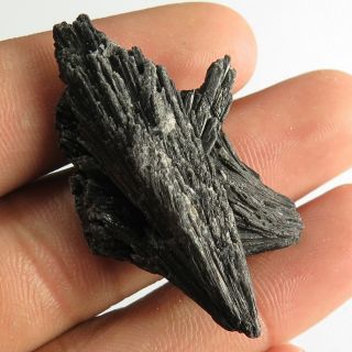 100 Natural Black Kyanite 43x27 Mm Fancy Rough Mineral Gemstone 46.  20 Cts