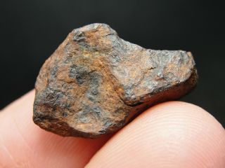 Imilchil/agoudal Iron Meteorite - Iml - 1796 - 6.  68g W/coa - Natural Patina - A,