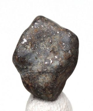 Gold Basin Stone Meteorite Arizona Meteor Mineral Space Rock Polished Specimen