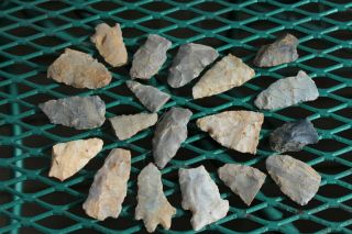 (19) Authentic Ancient Native American Artifact Arrowheads