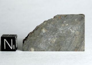 Meteorite Nwa 11344 - L3 - 4 (s3/w0 - 1) Very Fresh Large Thin Slice 5.  7g