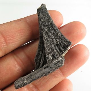 Fancy Rough Mineral 46.  70 Cts 100 Natural Black Kyanite Gemstone 54x22 Mm