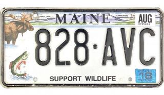 Maine Support Wildlife License Plate 828 - Avc