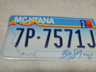 1998 Montana Big Sky Buffalo Skull Vanity License Plate Big Sexy