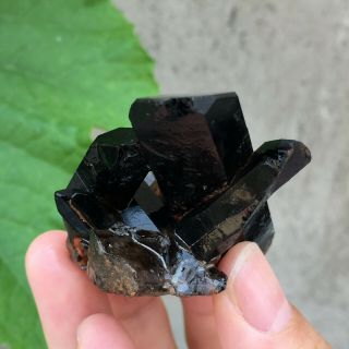 Natural Mineral Specimen Black Quartz Crystal Cluster Madagascar 59g 2