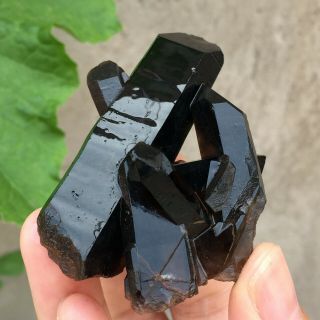 Natural Mineral Specimen Black Quartz Crystal Cluster Madagascar 59g 3