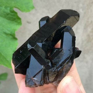 Natural Mineral Specimen Black Quartz Crystal Cluster Madagascar 59g 4