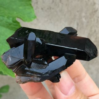Natural Mineral Specimen Black Quartz Crystal Cluster Madagascar 59g 5