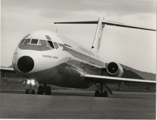 Large Vintage Photo - Sas Scandinavian Airlines Dc - 9 