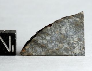 Meteorite Nwa 11344 - L3 - 4 (s3/w0 - 1) Chondrite - Fresh Slice