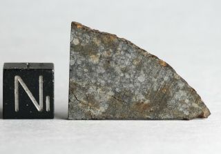 Meteorite NWA 11344 - L3 - 4 (S3/W0 - 1) Chondrite - fresh slice 2