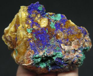 65mm 3oz Natural Blue Azurite With Malachite Crystal Mineral Specimen