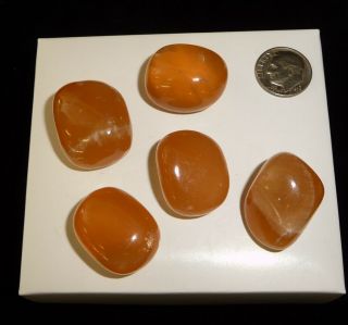 Dino: 5 Honey Calcite Crystal Tumbled Chakra Stones,  Mexico - 71 Gr.