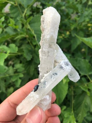 90g Rare Natural Clear Quartz Crystal Cluster Specimen A34 2