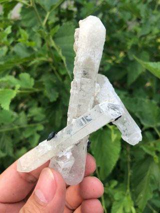 90g Rare Natural Clear Quartz Crystal Cluster Specimen A34 4