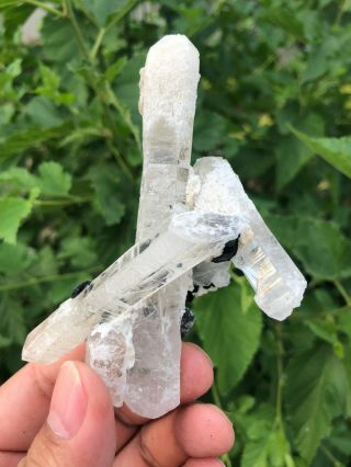 90g Rare Natural Clear Quartz Crystal Cluster Specimen A34 5