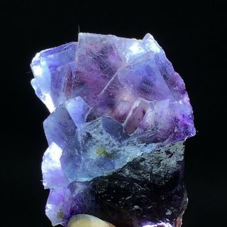 64.  5gnatural Purple Phantom Cube Blue Fluorite Mineral Specimen/inner Mongolia