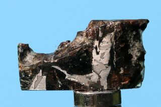 Admire Pallasite Meteorite,  2.  9 Grams