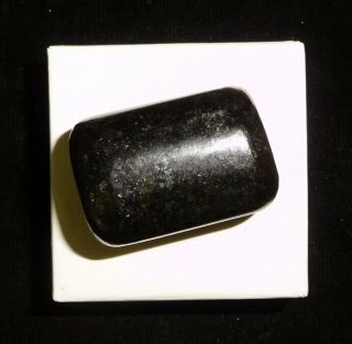 Dino: Black Tourmaline Crystal Tumbled Chakra Stone,  Brazil - 24 Grams