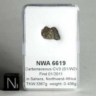Meteorite Nwa 6619 - Cv3 Carbonaceous Chondrite - Fragment In Display Box