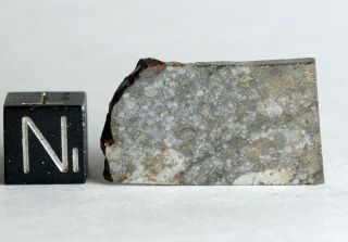 Meteorite Nwa 11344 - L3 - 4 (s3/w0 - 1) Very Fresh Slice 3.  14g