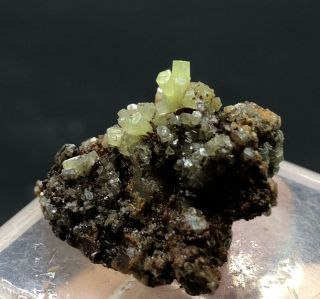 Natural Green Pyromorphite Crystal Mineral Specimen